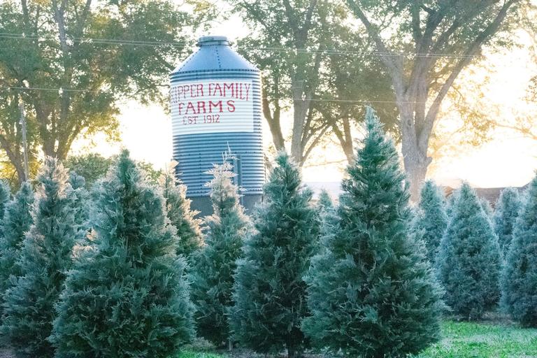 Skipper Family Farms